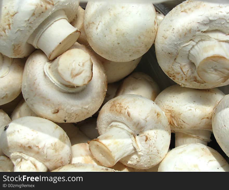 Mushrooms piled up on a table