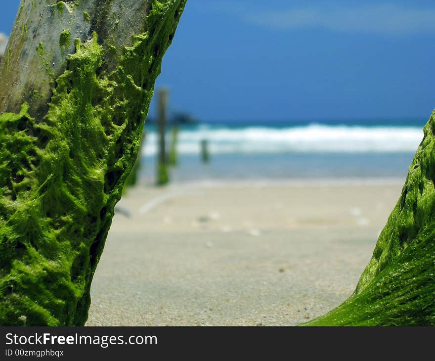 Cam Ranh beach, everything what left from all wooden pier. Cam Ranh beach, everything what left from all wooden pier