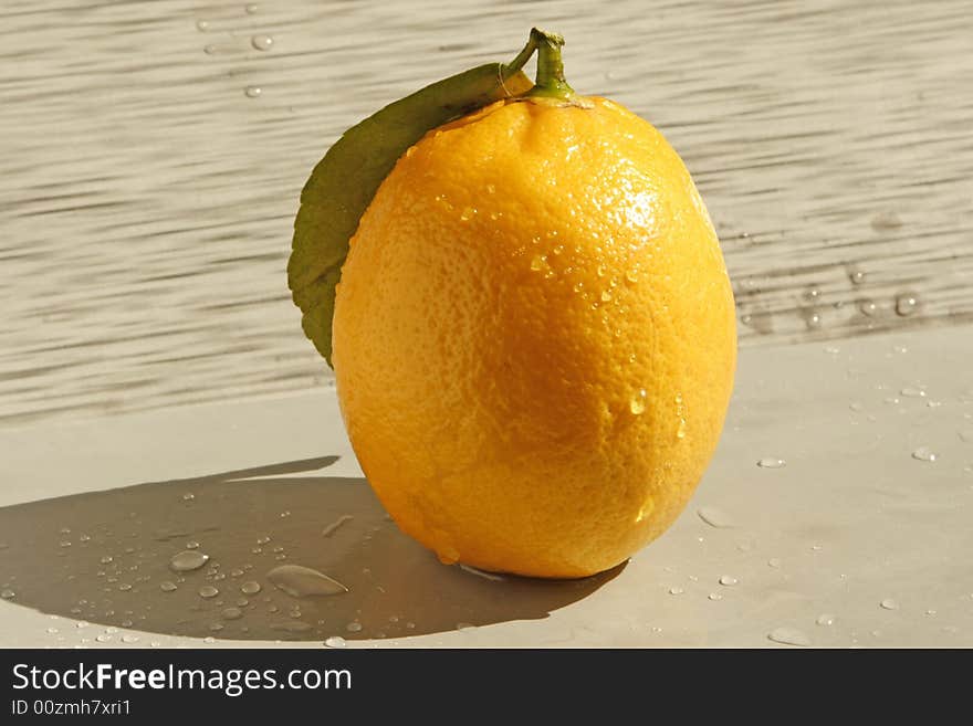 Single lemon on a grey background. Single lemon on a grey background