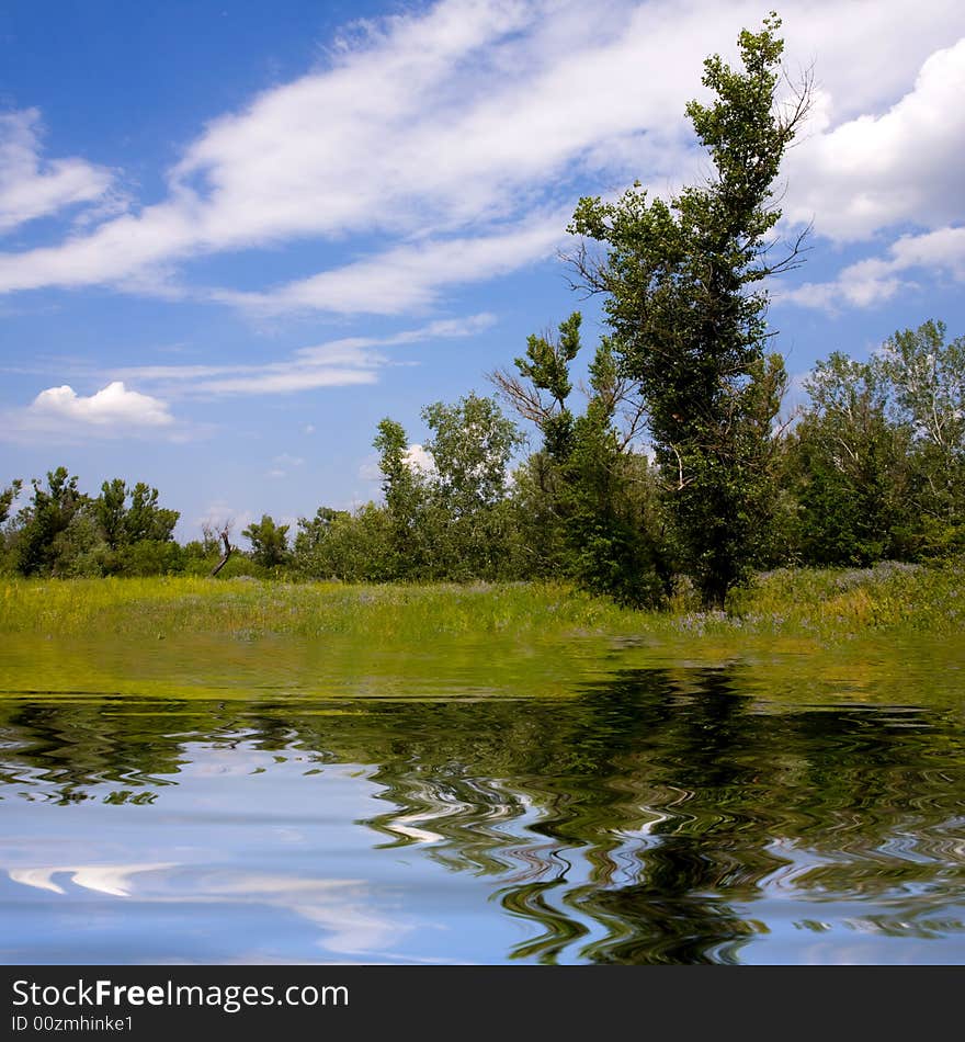 This is the Lake scene with tree