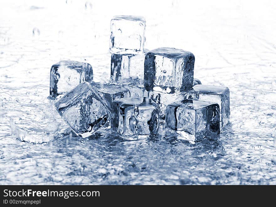 Melting ice cubes in water on white background. Melting ice cubes in water on white background