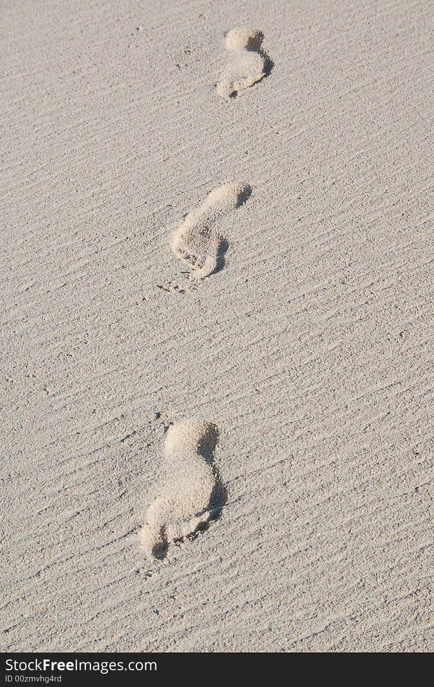 Footprints on the beach in the Bahamas. Footprints on the beach in the Bahamas