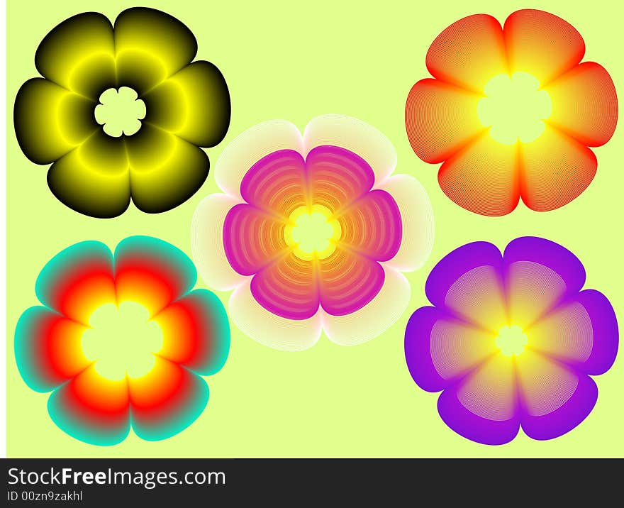 Vector illustration-5 flowers abstract color. Vector illustration-5 flowers abstract color