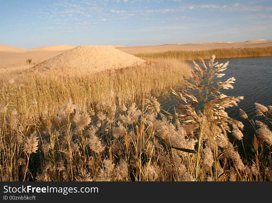 Desert_lake