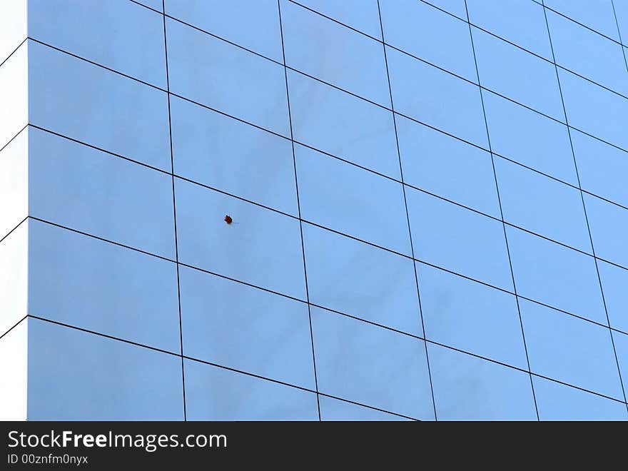 Maple-leaf on the wall of sky-scraper