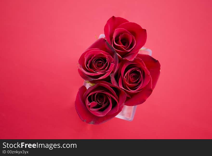 Tight red rose arrangement shot from above. Tight red rose arrangement shot from above