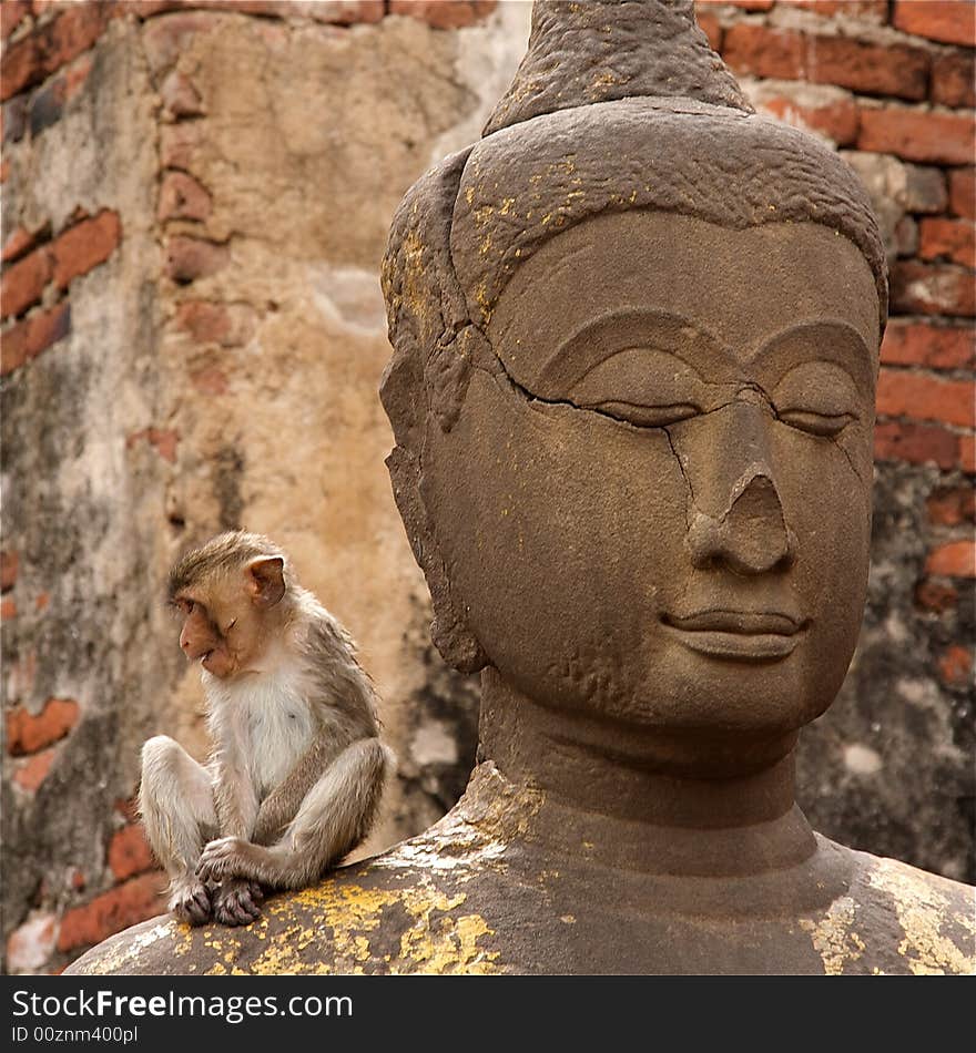 A monkey sitted on Buddha in the lopburi's khmer temple in thailand. A monkey sitted on Buddha in the lopburi's khmer temple in thailand.