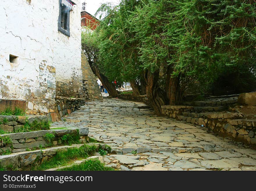 The road of a temple tibet .looks very beautiful .