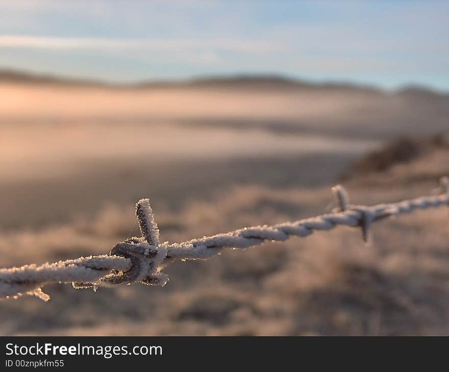 A frosty barbed wire in New Zealand at sunrise