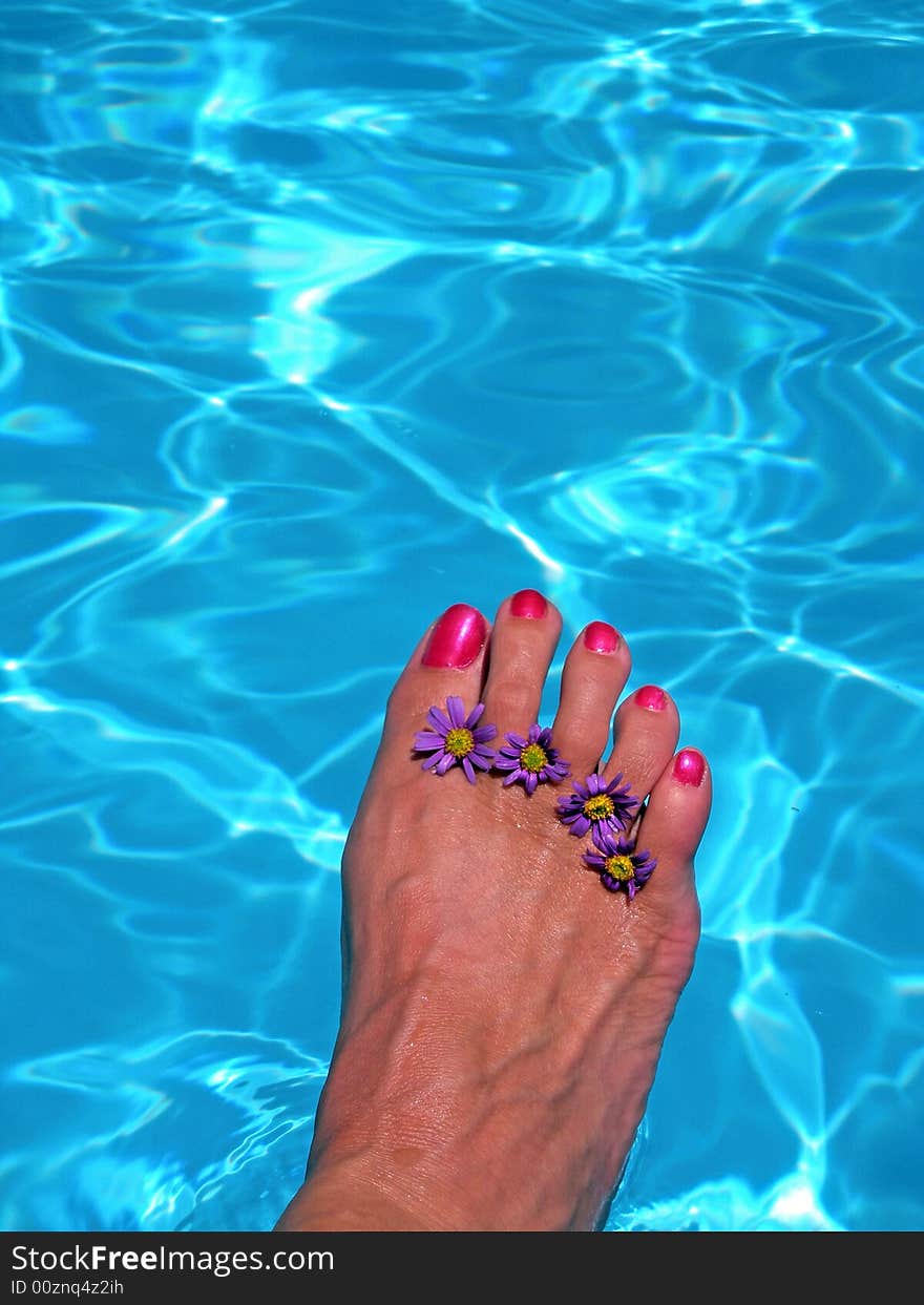 Pretty pedicured foot with purple wildflowers. Pretty pedicured foot with purple wildflowers.