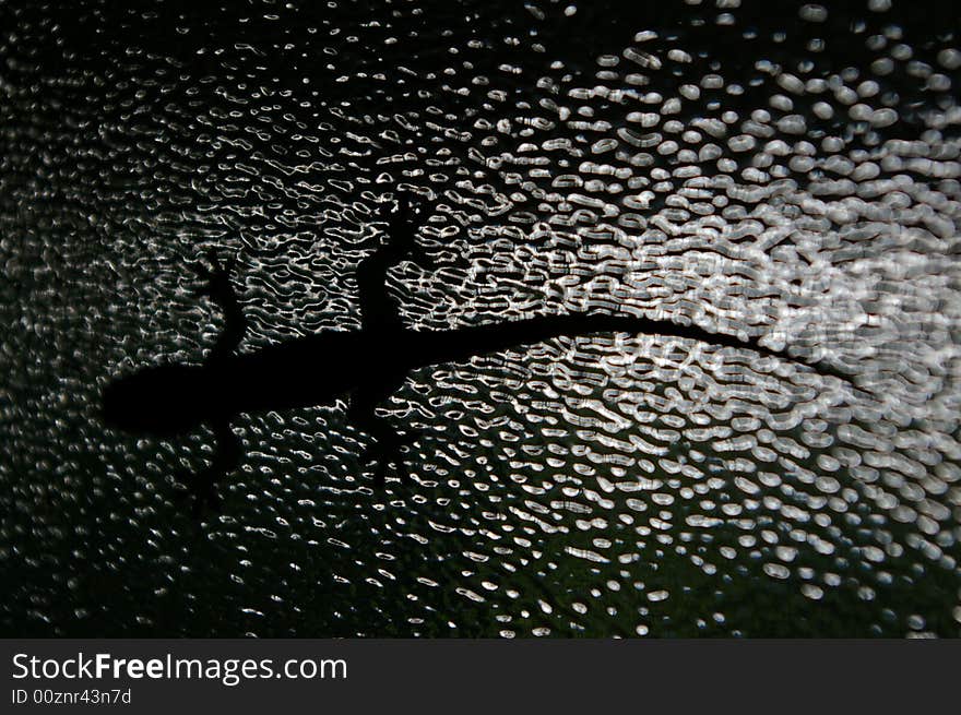 The silhouette of a gecko behind ribbed glass. The silhouette of a gecko behind ribbed glass