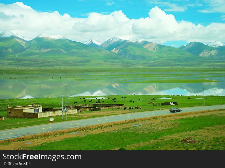 The road of tibet