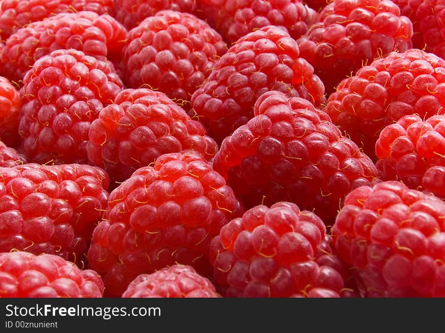 Red Ripe Raspberry