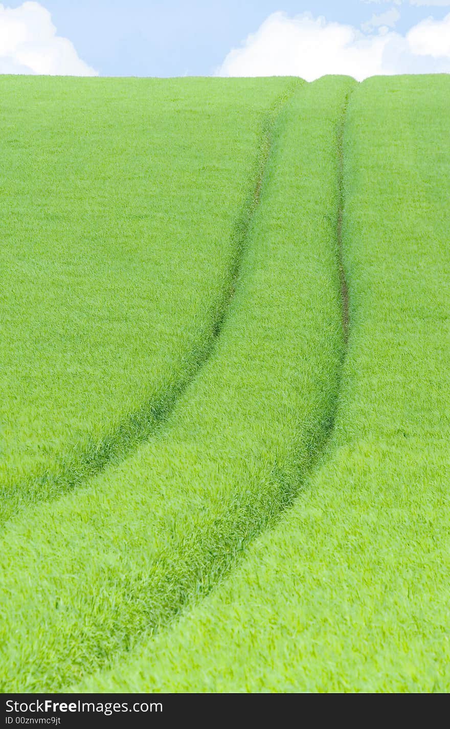 Green field 2