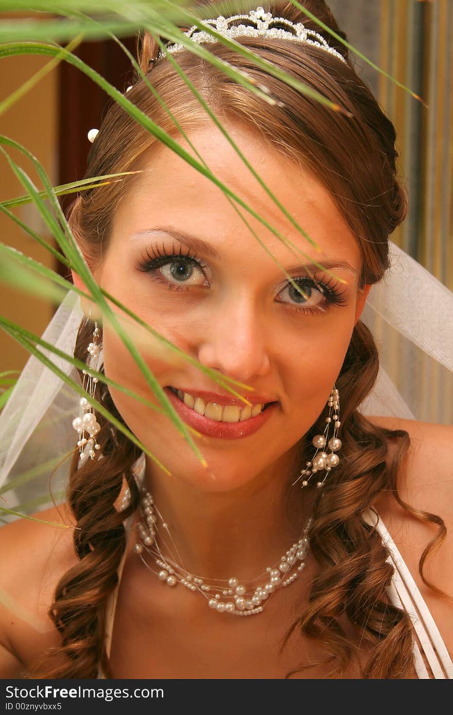 Bride in wedding dress