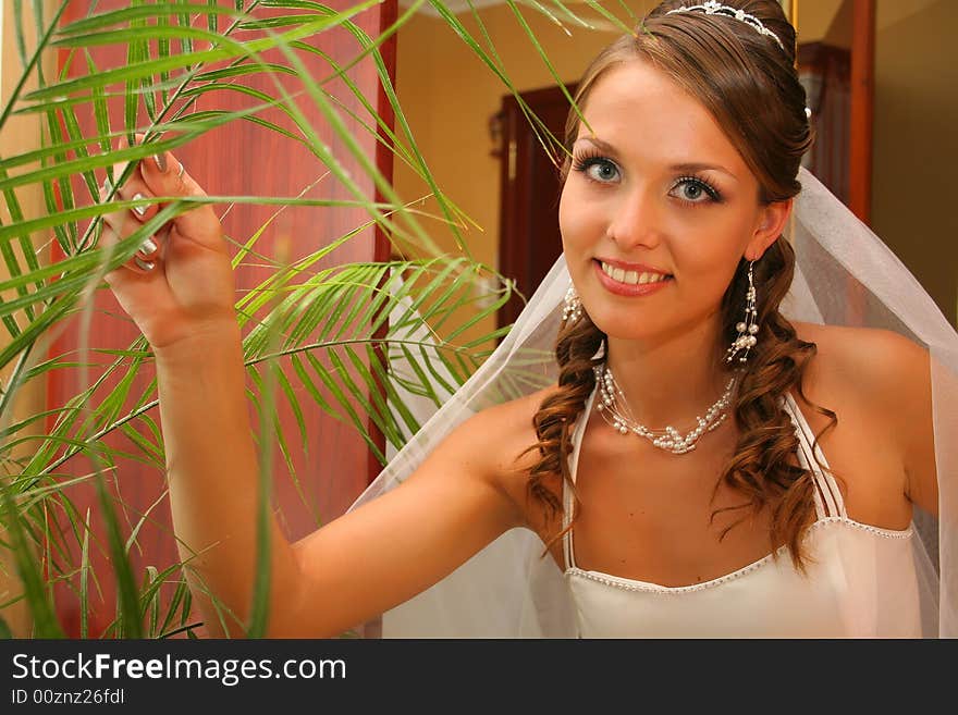 Bride In Wedding Dress