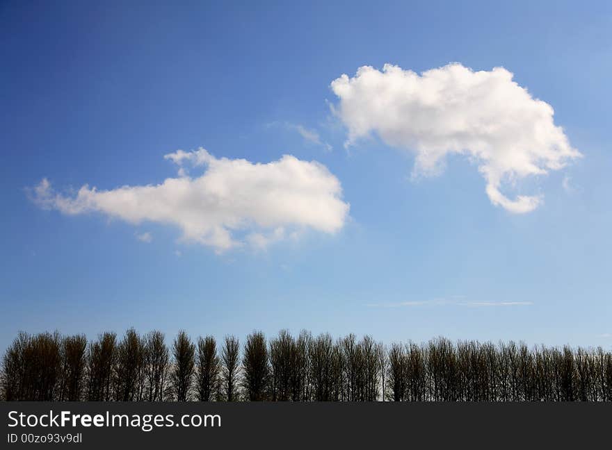 Trees with clouds and blue sky