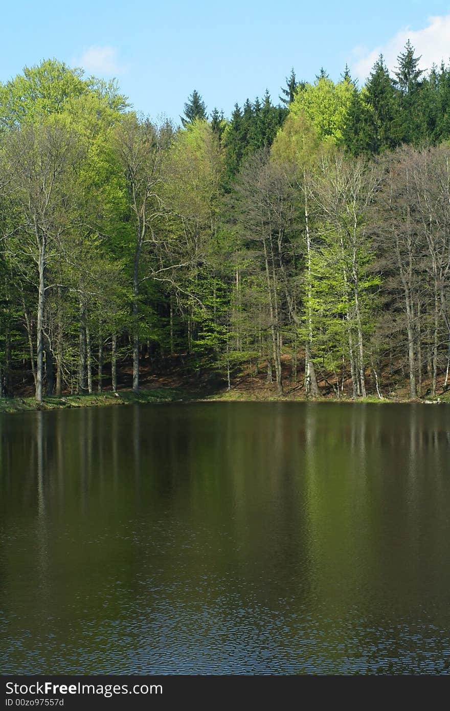 Spring landscape lake in wood. Spring landscape lake in wood