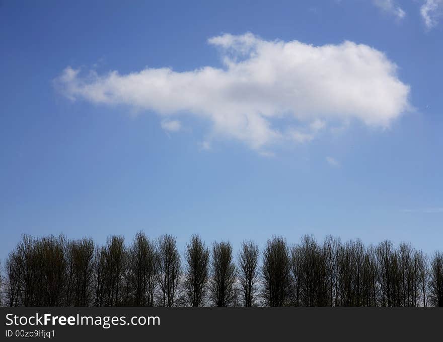 Trees with cloud and blue sky