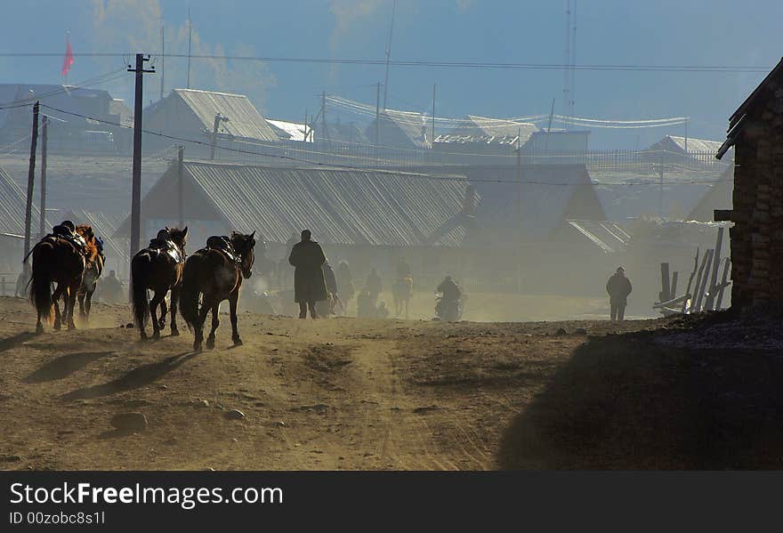 Three horses on morning at sunshinhe