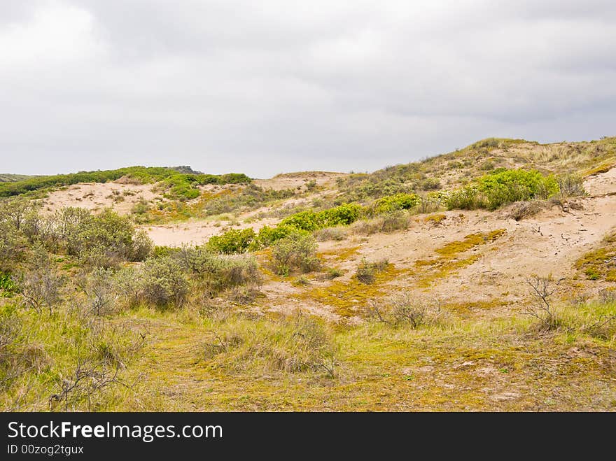 Dunes on the North Sea coastline. The Netherlands.