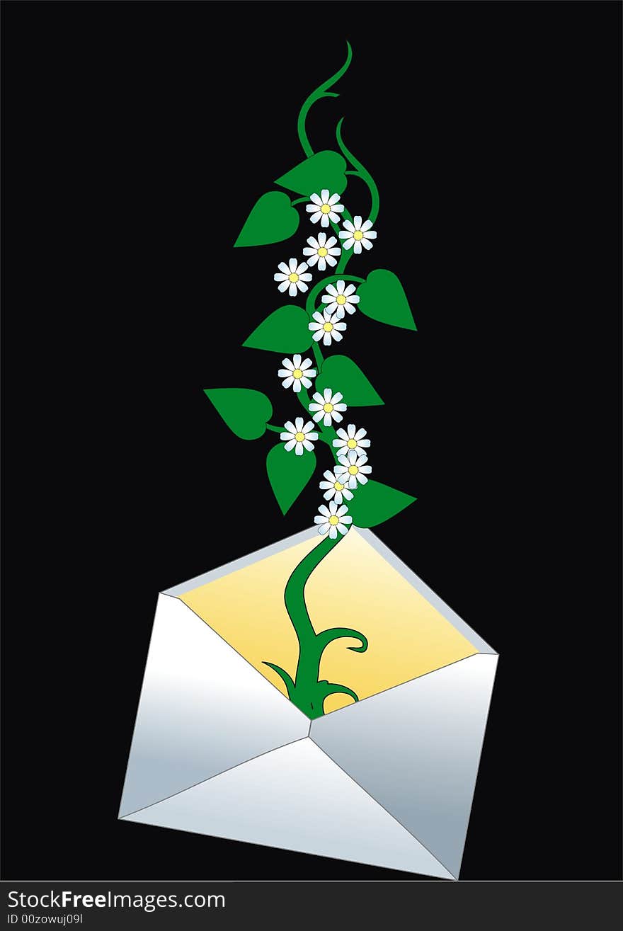 Plant In Envelope