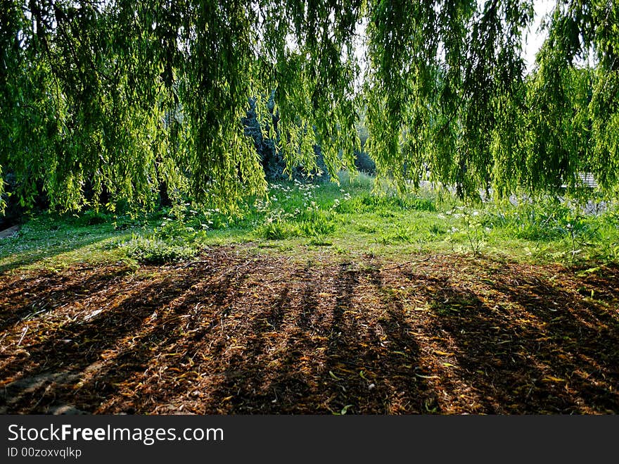 Regent s Park, London - 17