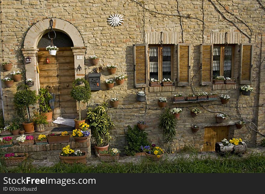 Court with flowers, door and windows. Court with flowers, door and windows