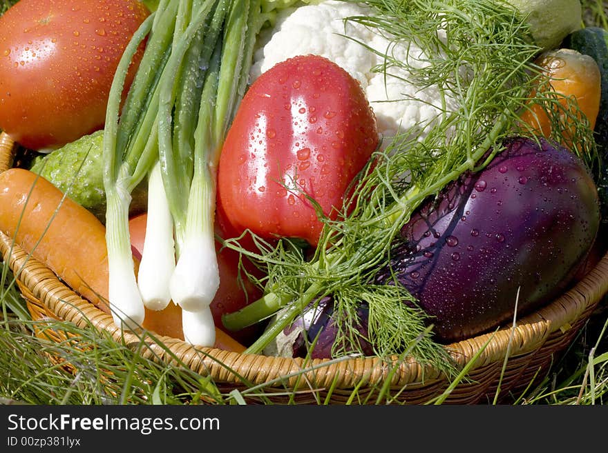 Basket with vegetables on green grass