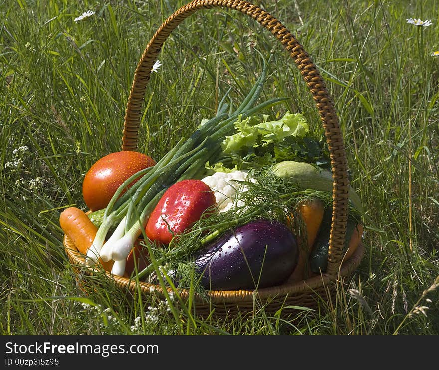 Basket with vegetables on green grass