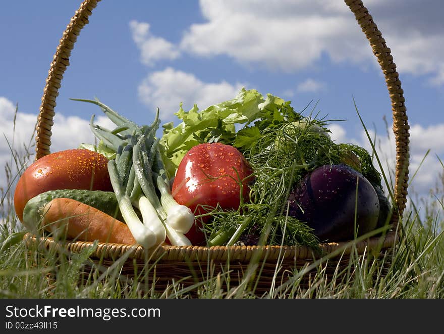 Basket with vegetables