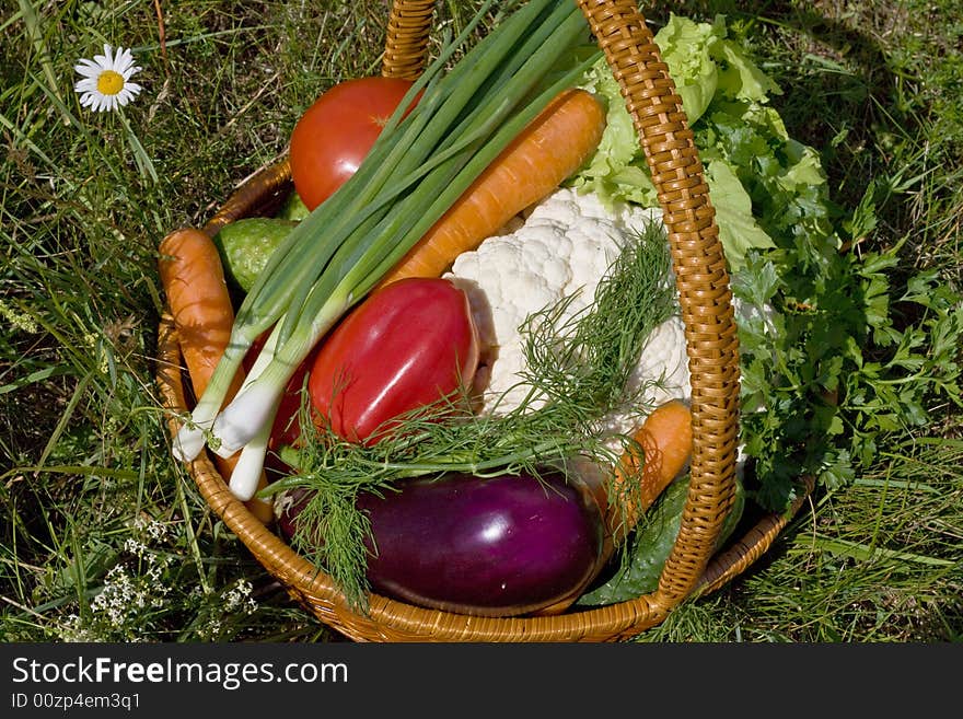 Basket with vegetables on green grass