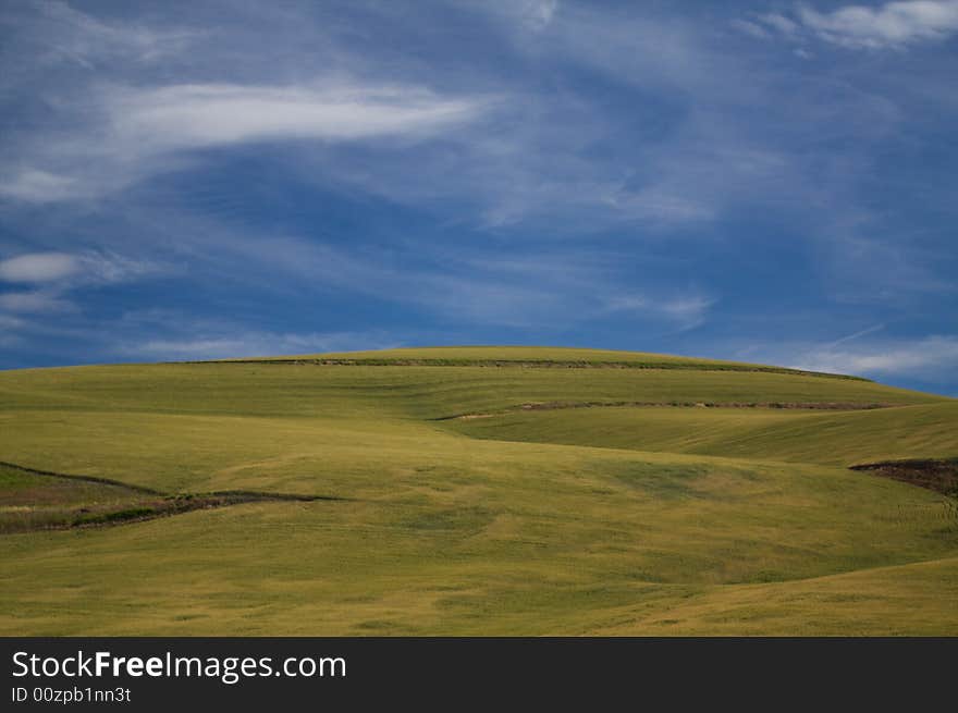 A hill full of green in central Oregon. A hill full of green in central Oregon