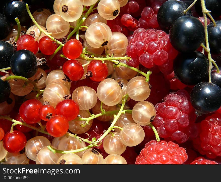 Colorful Fruits