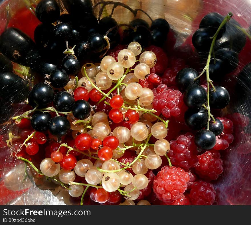 Black, red and white currant and raspberries. Black, red and white currant and raspberries