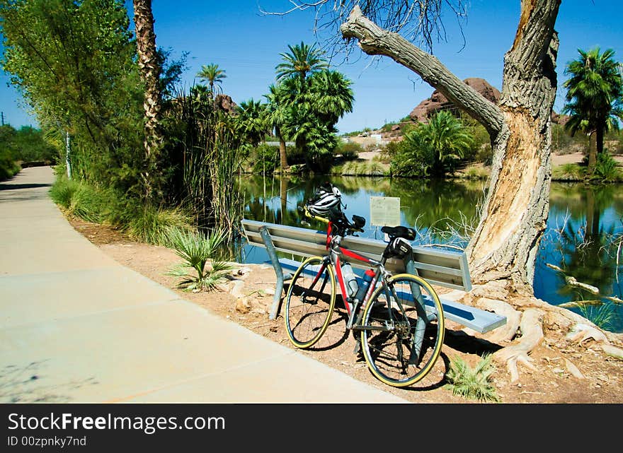 Bicycle and park bench