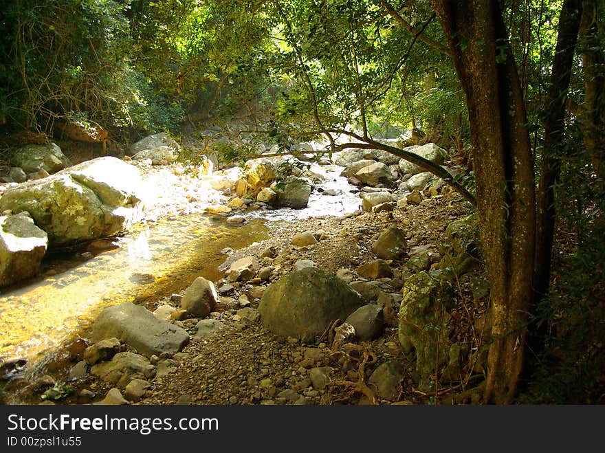 Natural Bridge, South-East Queensland, Australia