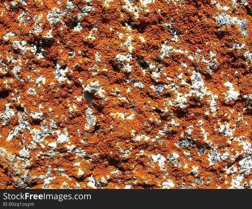 Stone surface texture background