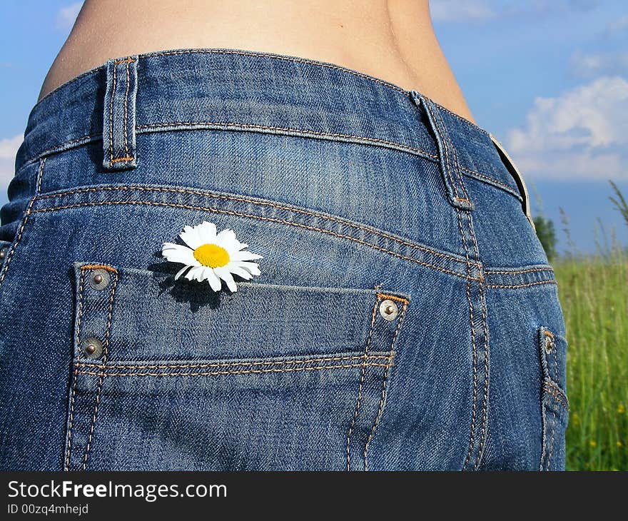 Flower in the pocket of jeans