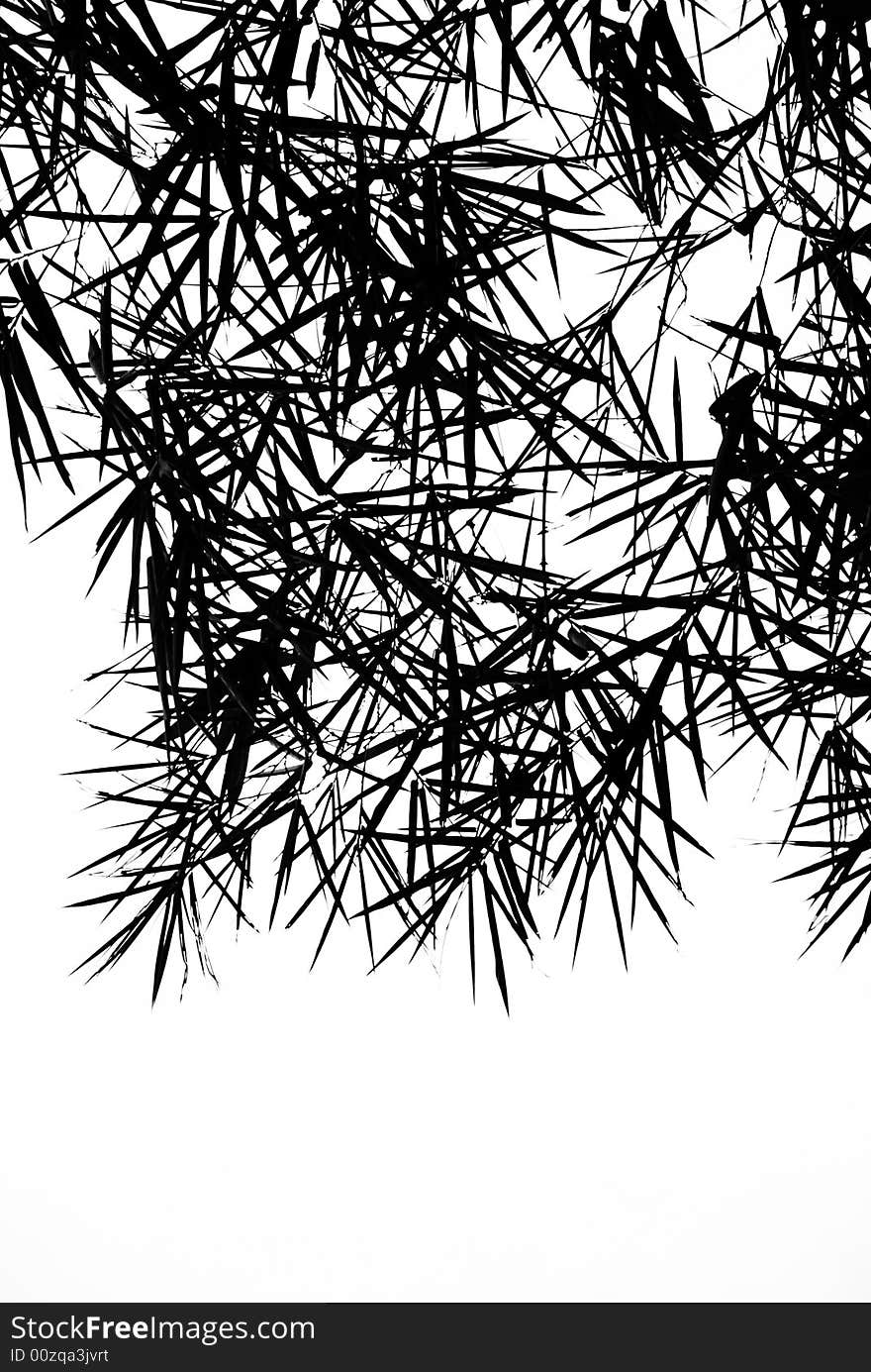 Bamboo Leaves Silhouette Background