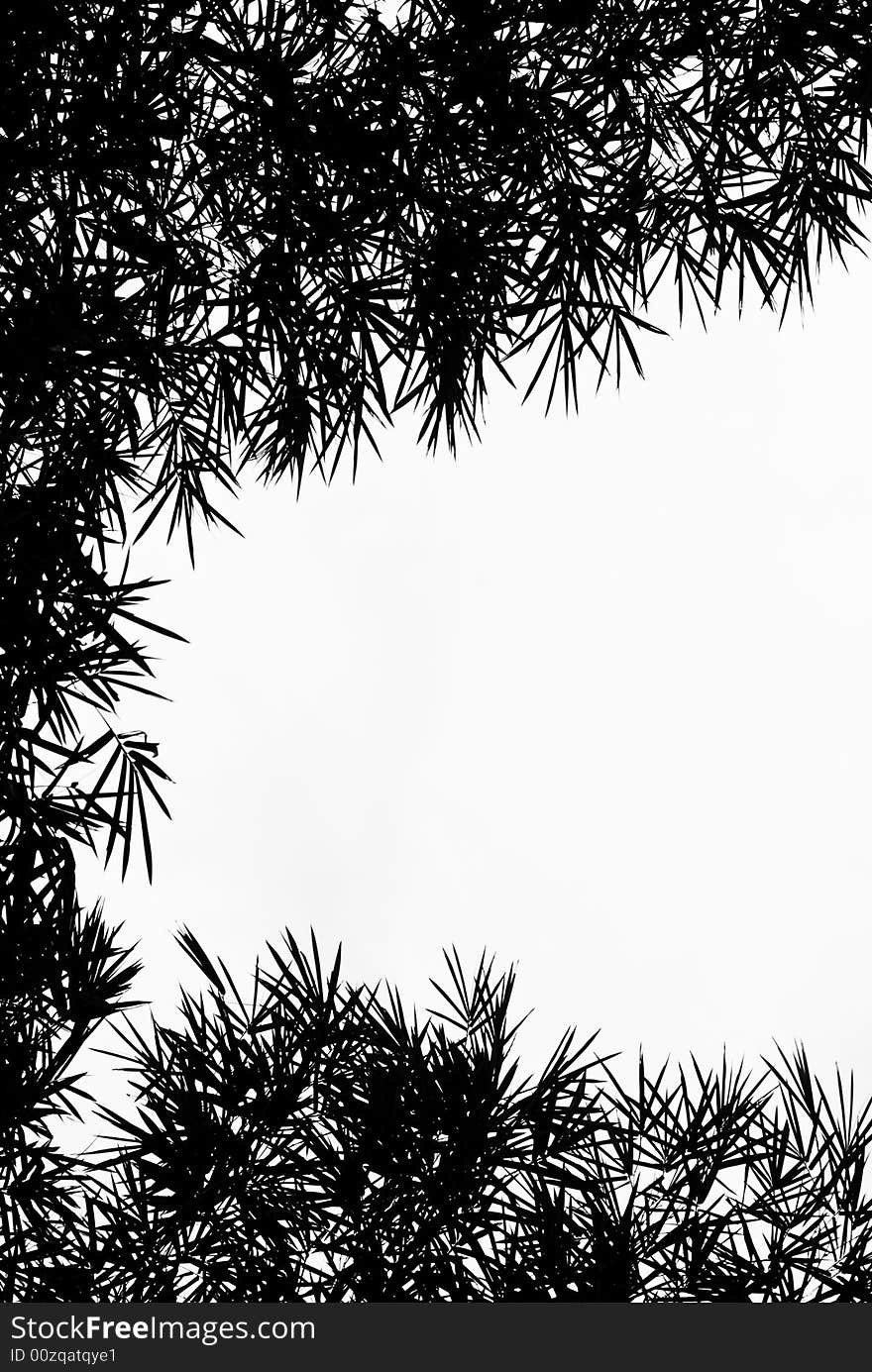 Bamboo Leaves Silhouette Background