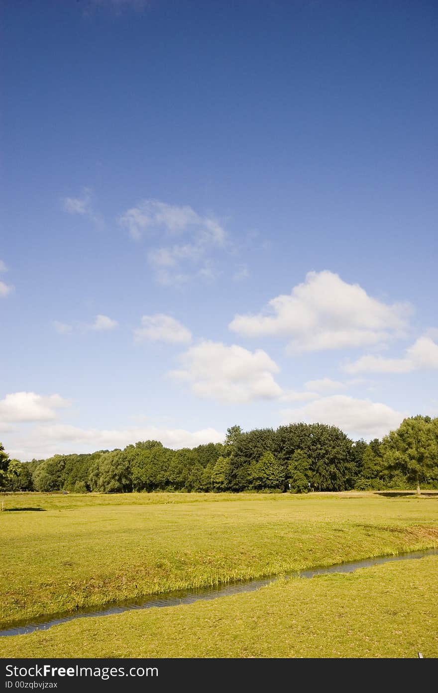 Summer countryside view