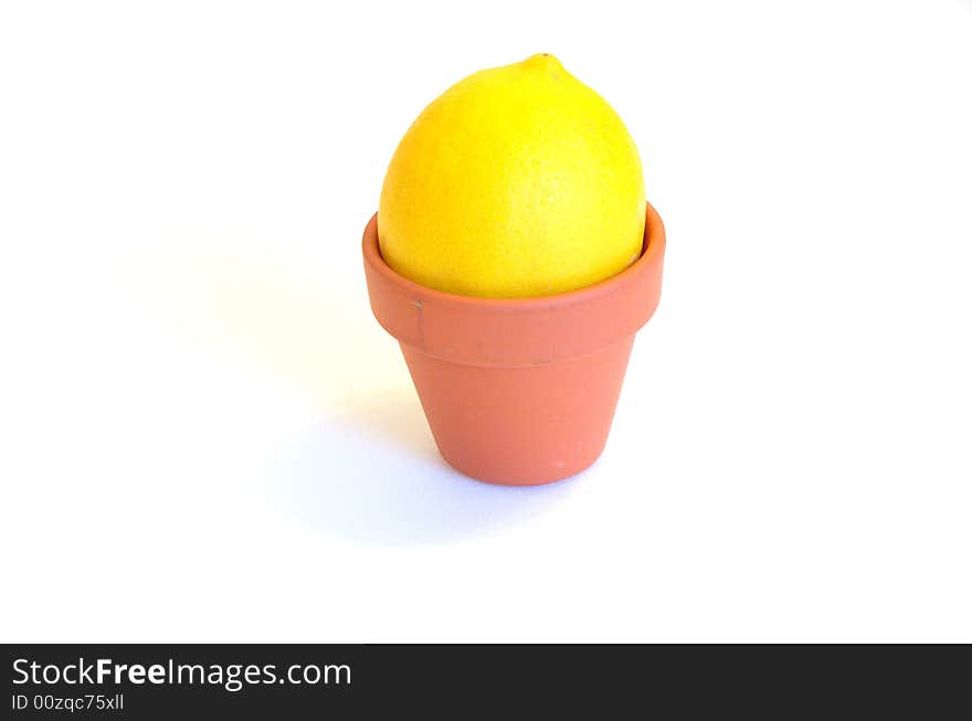 Lemon sitting in miniature terracotta pot. Lemon sitting in miniature terracotta pot