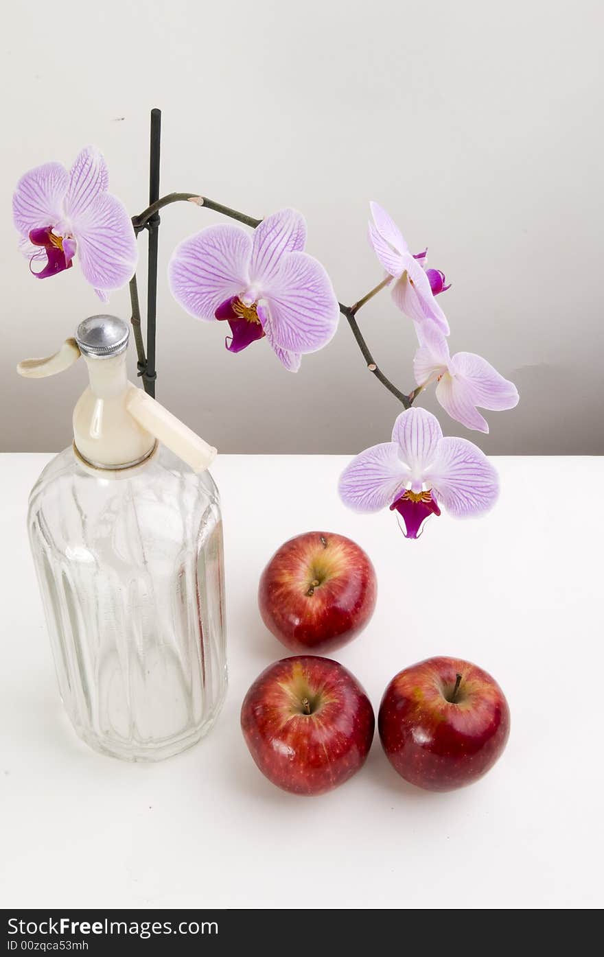 Still nature with orchids and apples