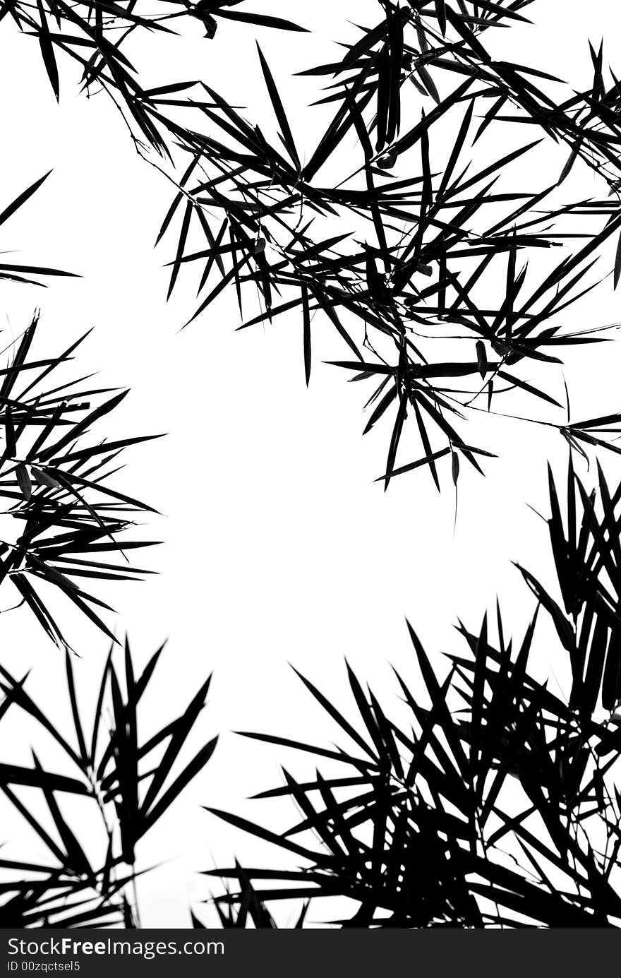 Bamboo Leaves Silhouette Background