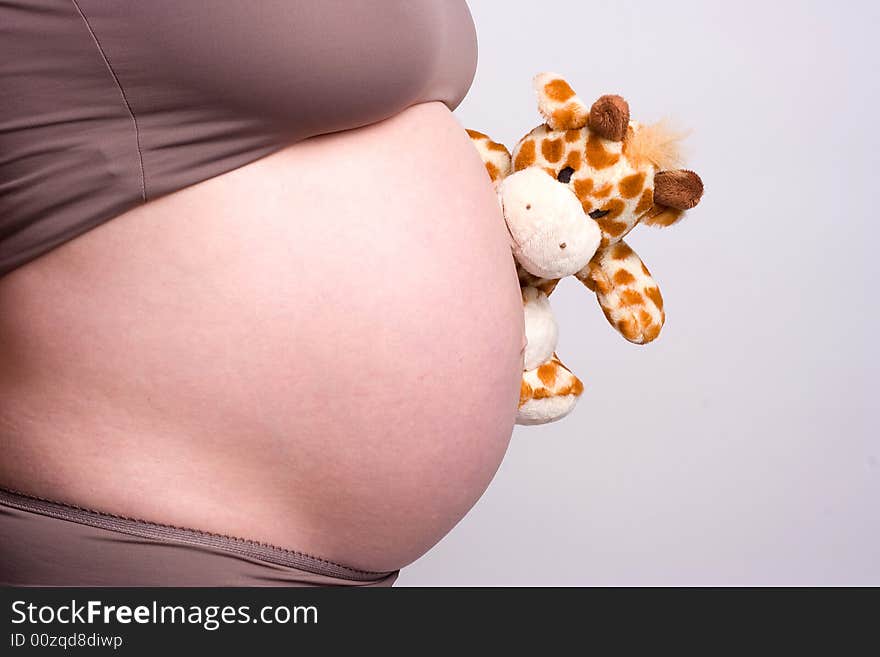 Camel toy watching pregnant belly