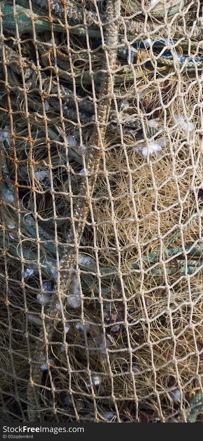 A net and some ropes. A net and some ropes