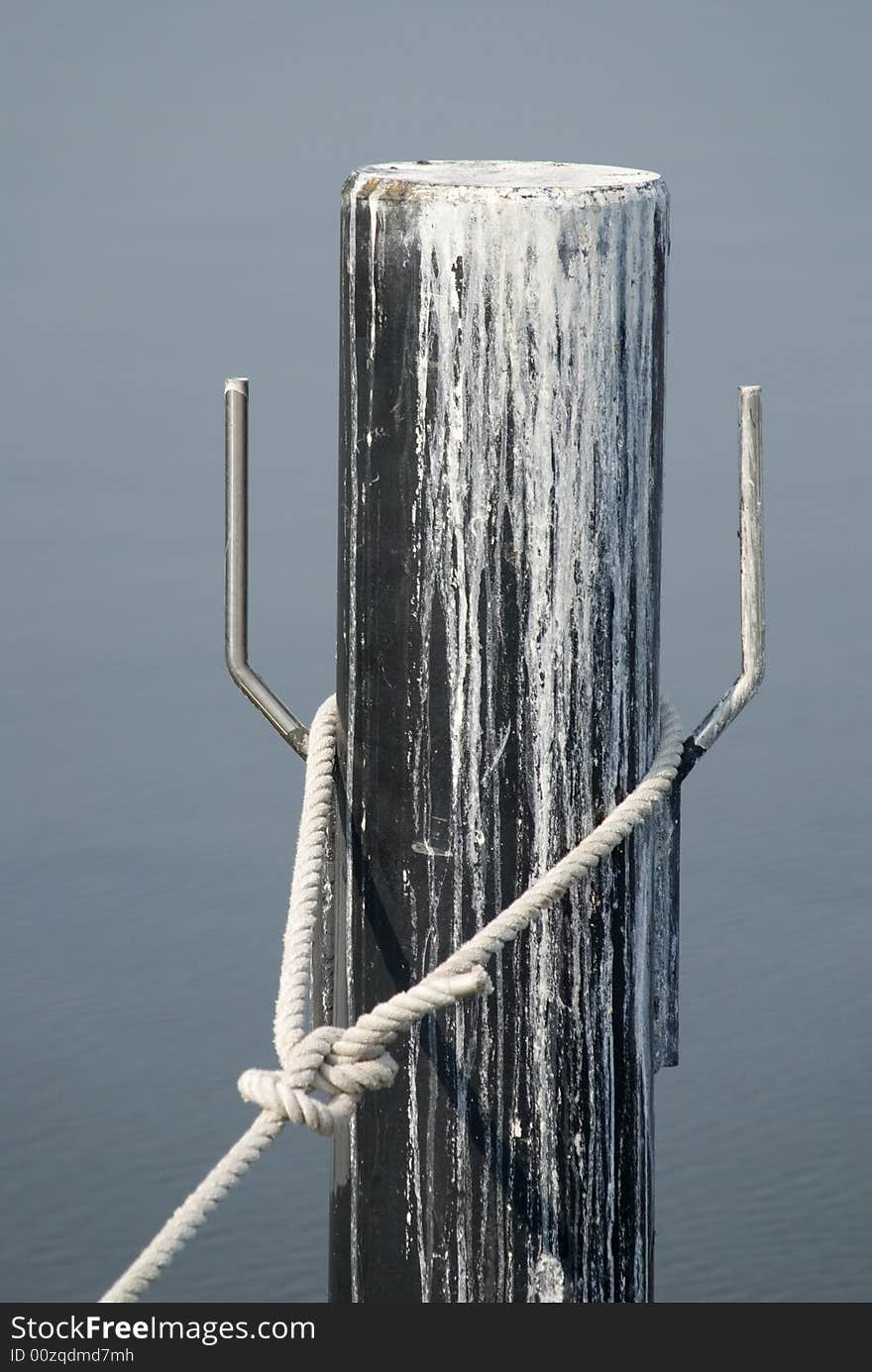 Trunk in the water