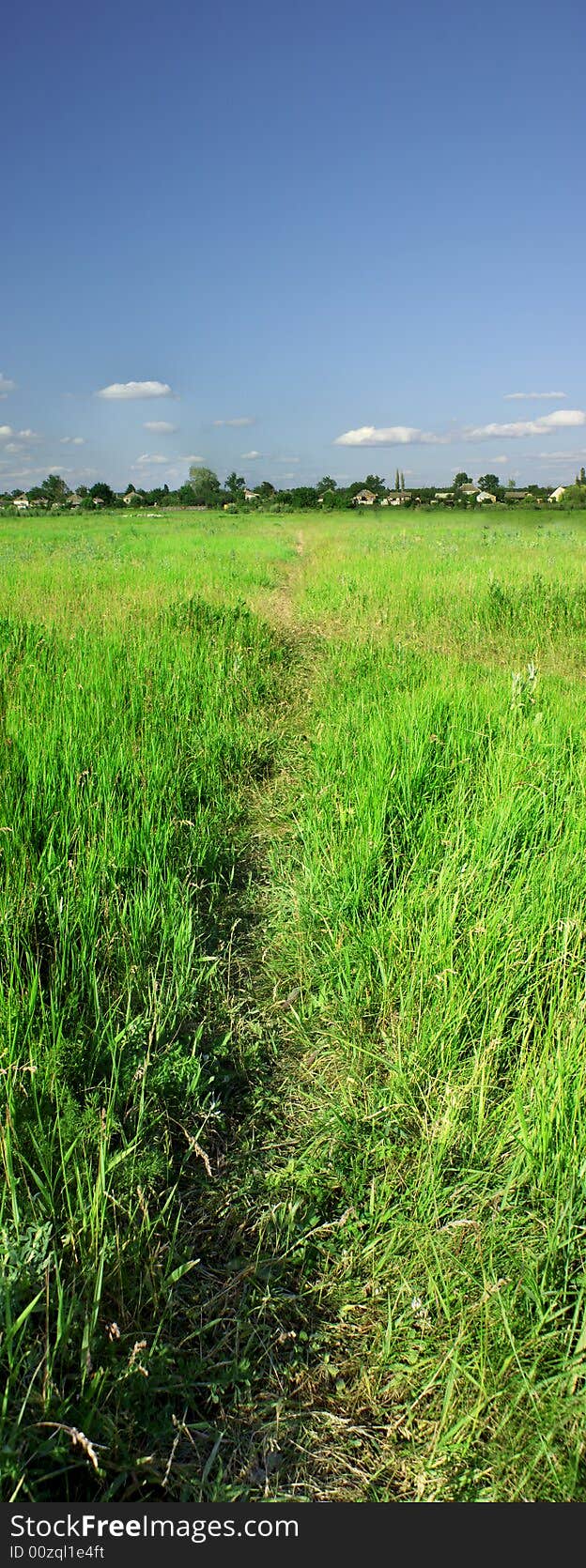 Path on a grass