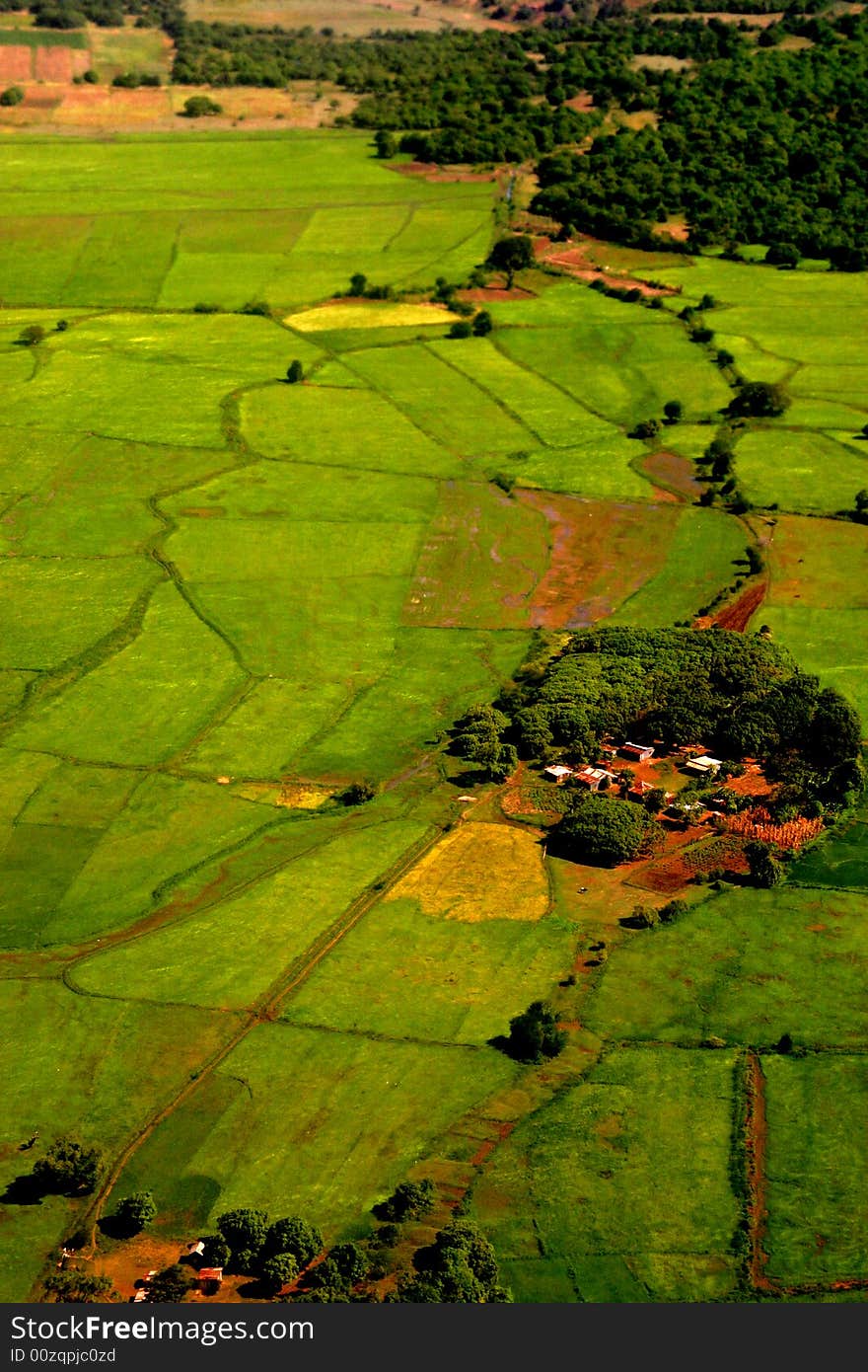 Village Eyes Bird View